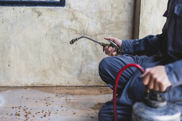 Best Best Pest Control Companies  in Carrollwood, FL